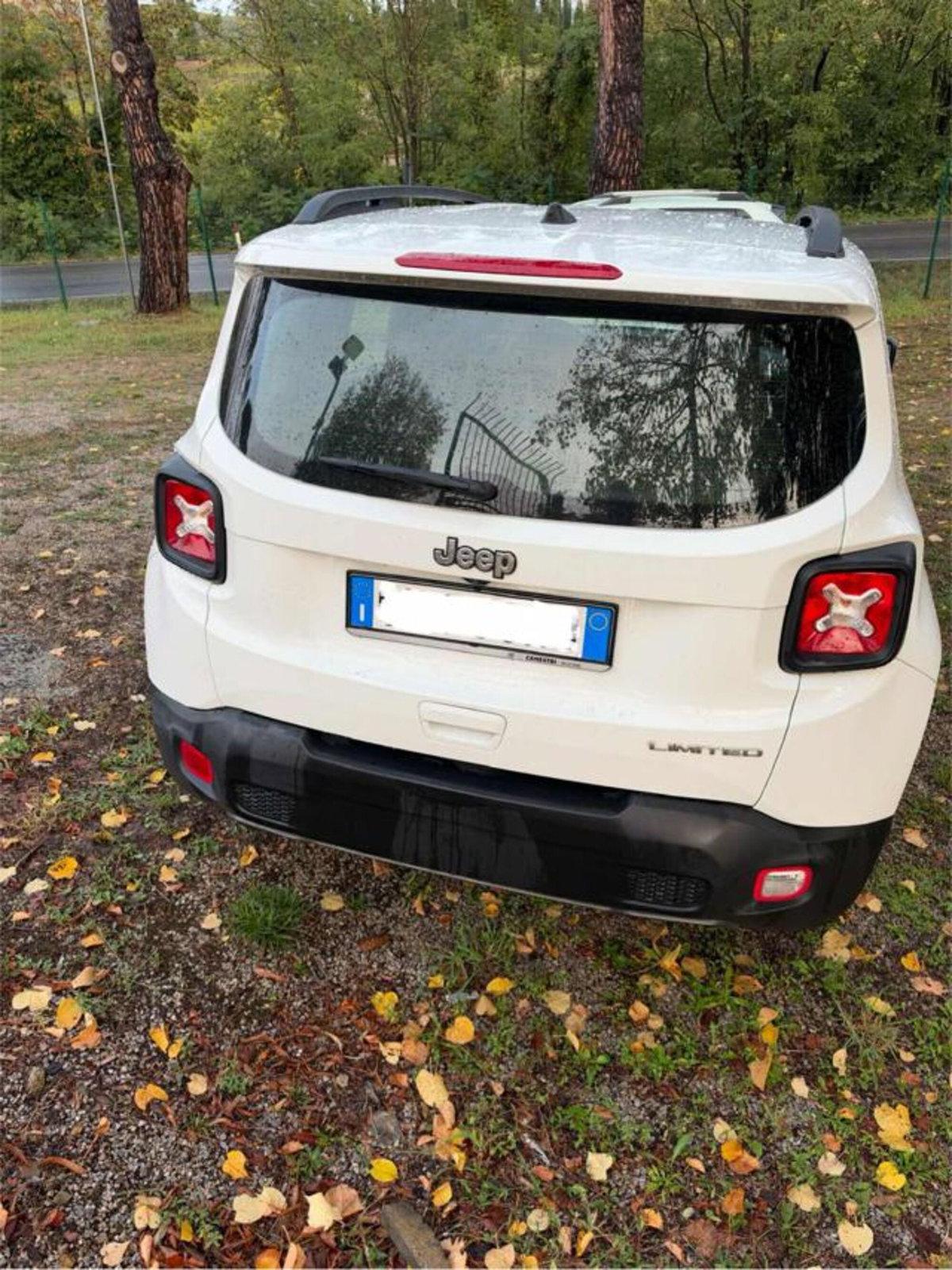 Jeep Renegade 1.6 Mjt 130 CV Limited (4)