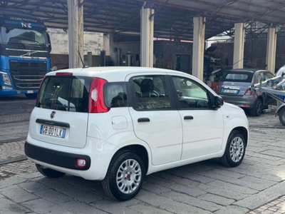 Fiat Panda 1.2 EasyPower Easy (5)
