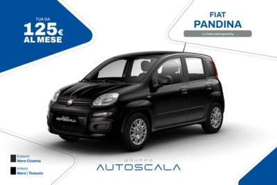 Fiat Pandina 1.0 firefly hybrid s&s 70cv nuova