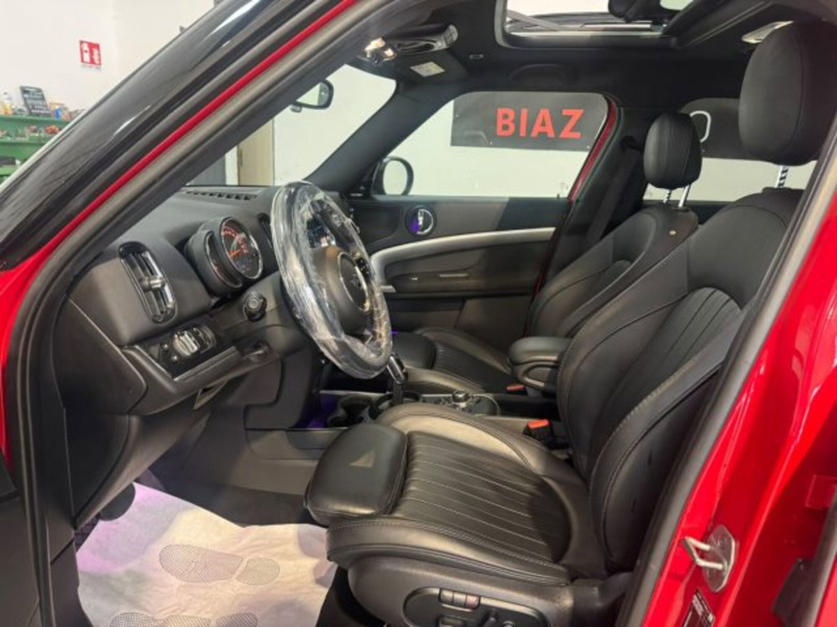 MINI Mini Countryman 2.0 Cooper S Untamed Edition Countryman ALL4 (11)