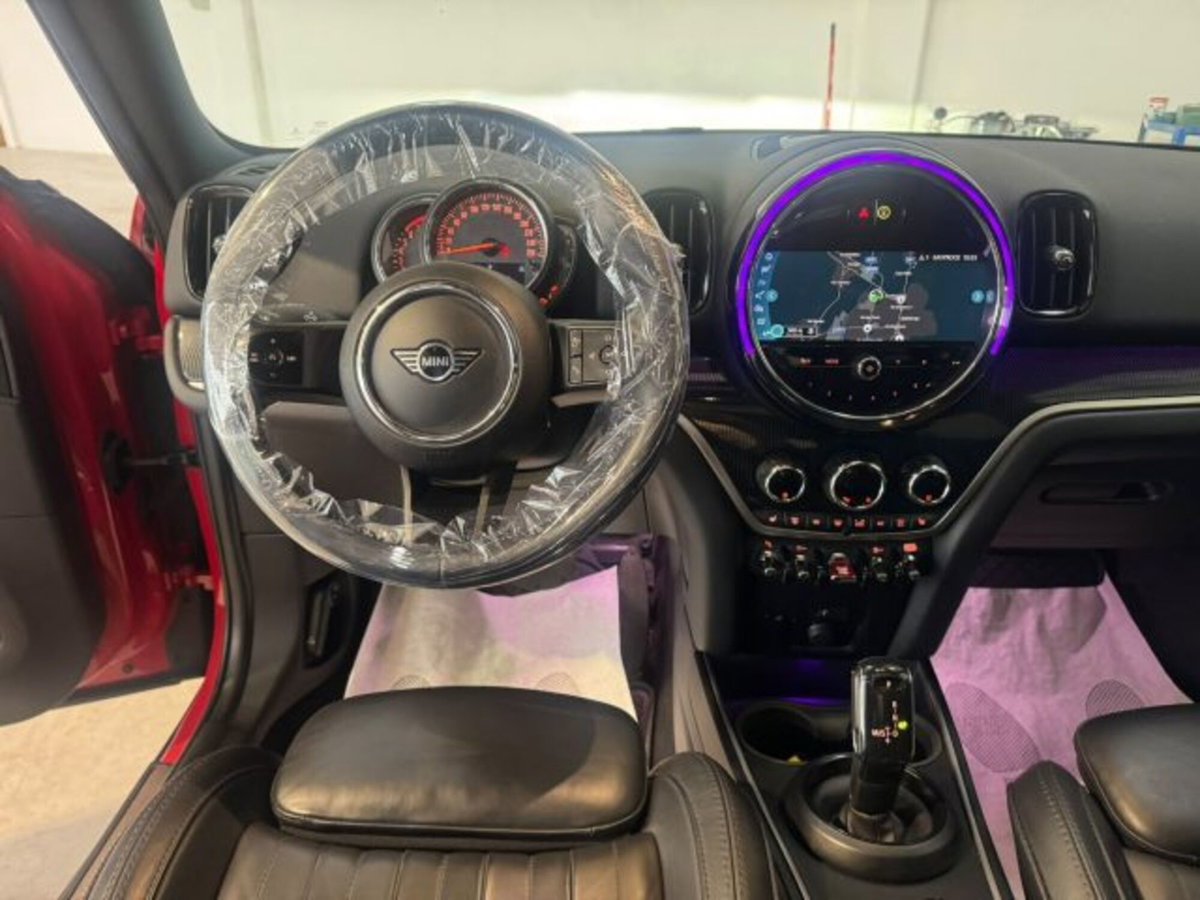 MINI Mini Countryman 2.0 Cooper S Untamed Edition Countryman ALL4 (17)