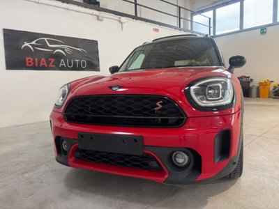 MINI Mini Countryman 2.0 Cooper S Untamed Edition Countryman ALL4 (7)