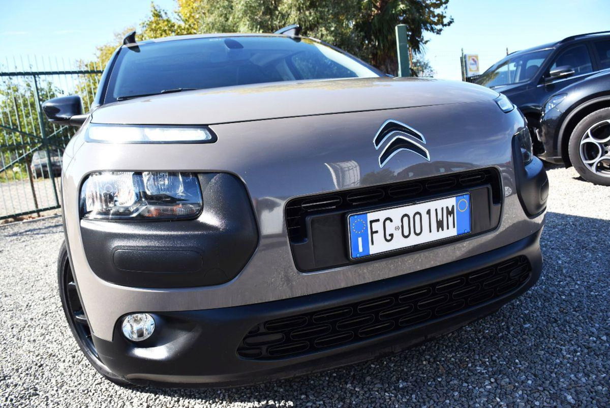 Citroen C4 Cactus BlueHDi 100 Shine (11)