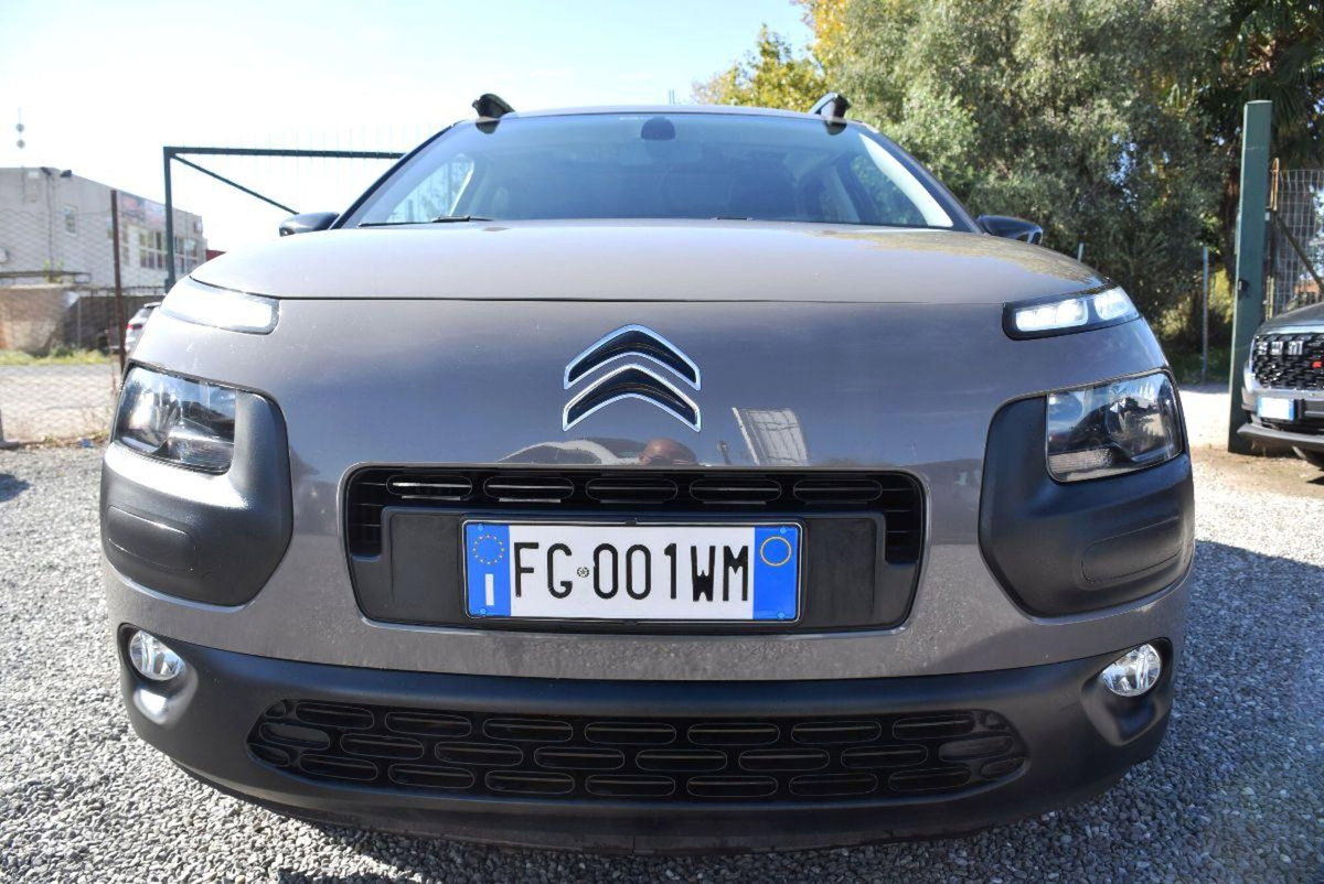 Citroen C4 Cactus BlueHDi 100 Shine (16)