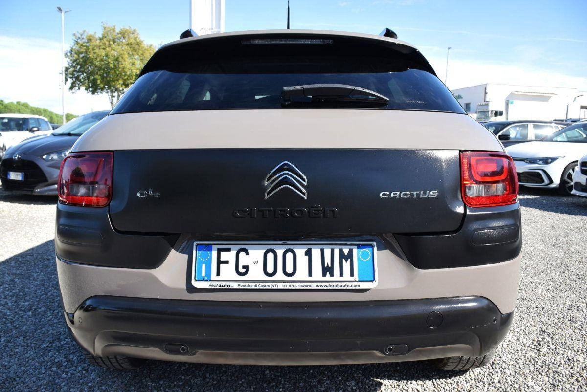 Citroen C4 Cactus BlueHDi 100 Shine (17)