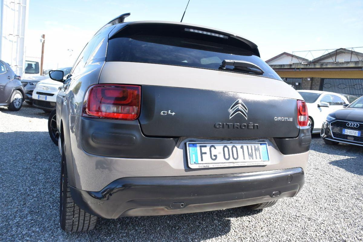 Citroen C4 Cactus BlueHDi 100 Shine (19)