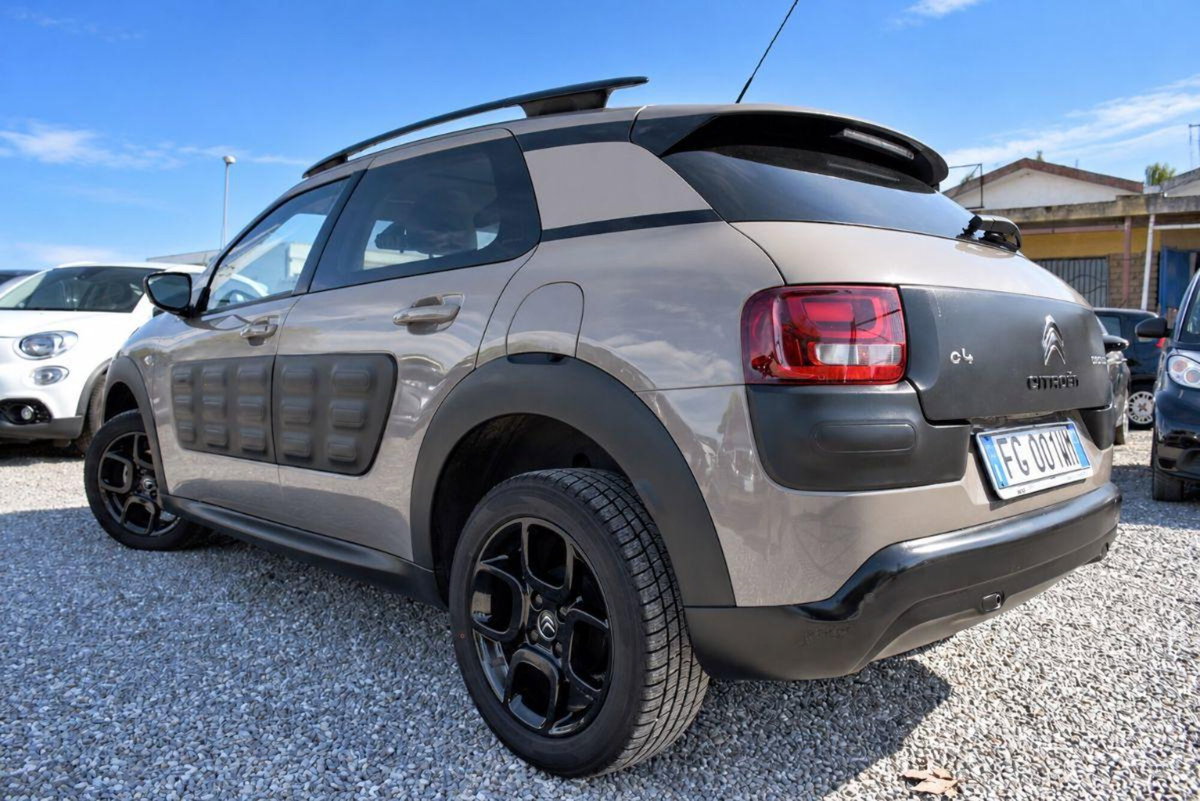 Citroen C4 Cactus BlueHDi 100 Shine (20)