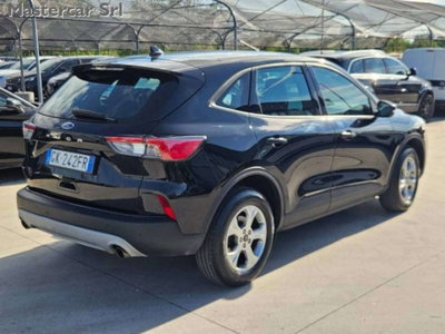 Ford Kuga 1.5 EcoBlue 120 CV 2WD ST-Line (6)