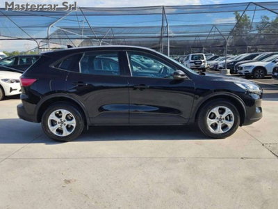 Ford Kuga 1.5 EcoBlue 120 CV 2WD ST-Line (8)