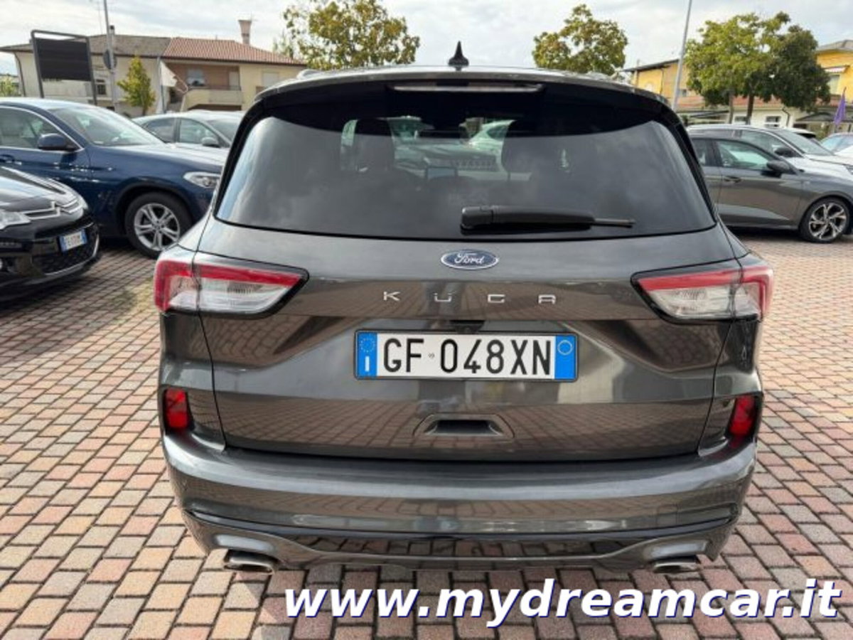 Ford Kuga 1.5 EcoBlue 120 CV aut. 2WD ST-Line X (11)