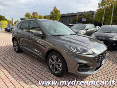 Ford Kuga 1.5 EcoBlue 120 CV aut. 2WD ST-Line X (3)