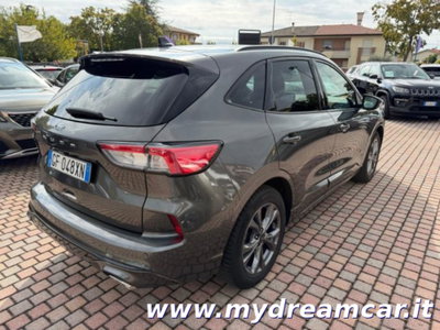 Ford Kuga 1.5 EcoBlue 120 CV aut. 2WD ST-Line X (4)
