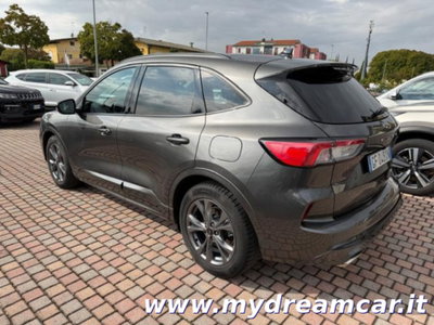 Ford Kuga 1.5 EcoBlue 120 CV aut. 2WD ST-Line X (5)