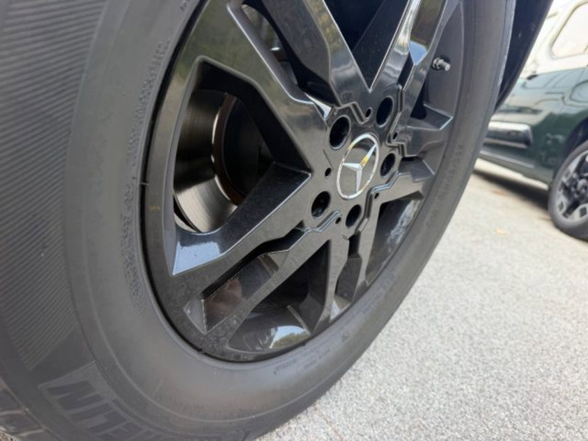 Mercedes-Benz Classe G 350 BlueTEC Lunga (7)