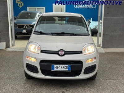 Fiat Panda 1.2 Lounge usata