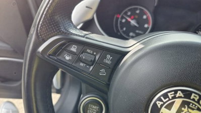 Alfa Romeo Stelvio Stelvio 2.2 Turbodiesel 210 CV AT8 Q4 Veloce (20)