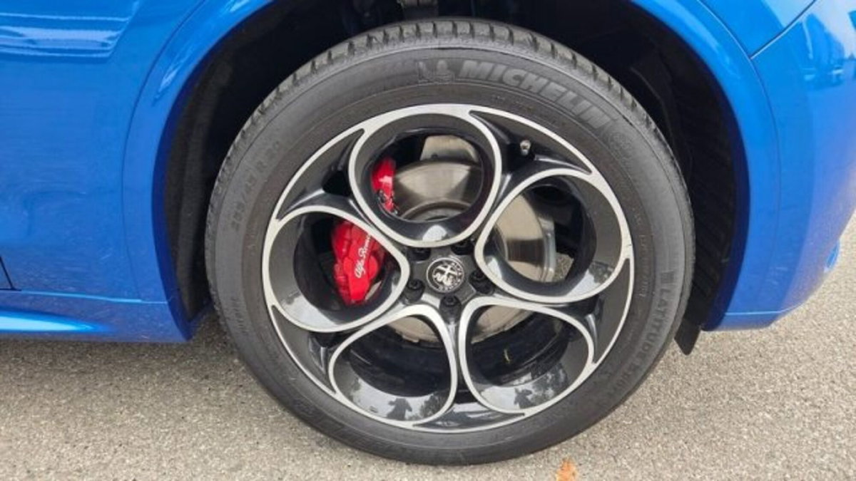 Alfa Romeo Stelvio Stelvio 2.0 Turbo 280 CV AT8 Q4 Veloce (6)