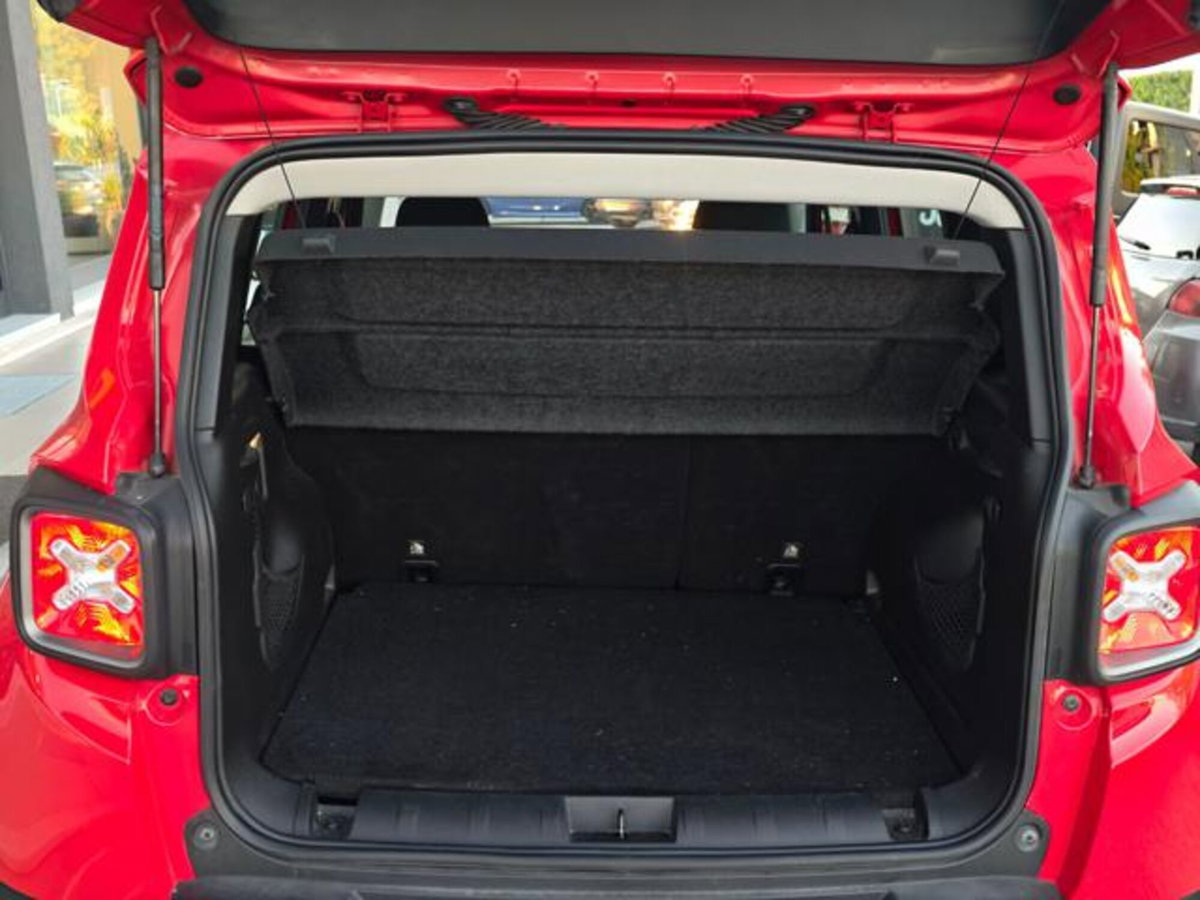 Jeep Renegade 1.3 T4 DDCT Limited (15)