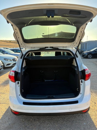 Ford C-Max 1.6 TDCi 115CV Titanium (19)