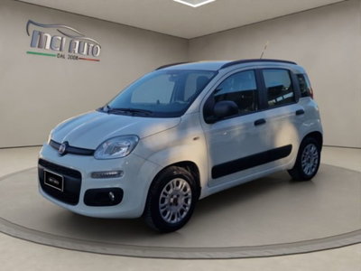 Fiat Panda 1.2 Easy usata