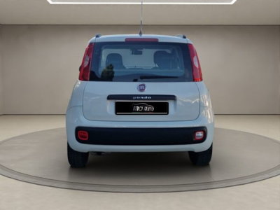 Fiat Panda 1.2 Easy (4)