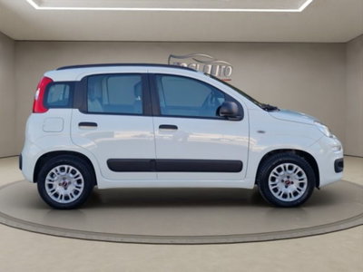 Fiat Panda 1.2 Easy (6)