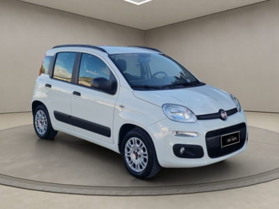 Fiat Panda 1.2 Easy (7)