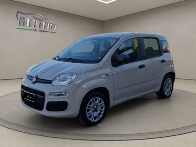 Fiat Panda 1.2 Easy usata