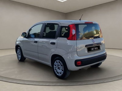 Fiat Panda 1.2 Easy (3)