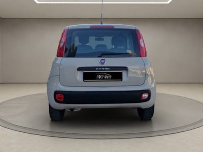 Fiat Panda 1.2 Easy (4)