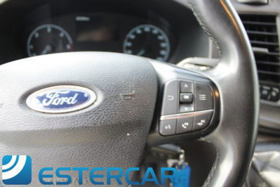 Ford Transit Furgone 350 2.0TDCi EcoBlue 130CV PL-TM Combi Trend N1 (14)