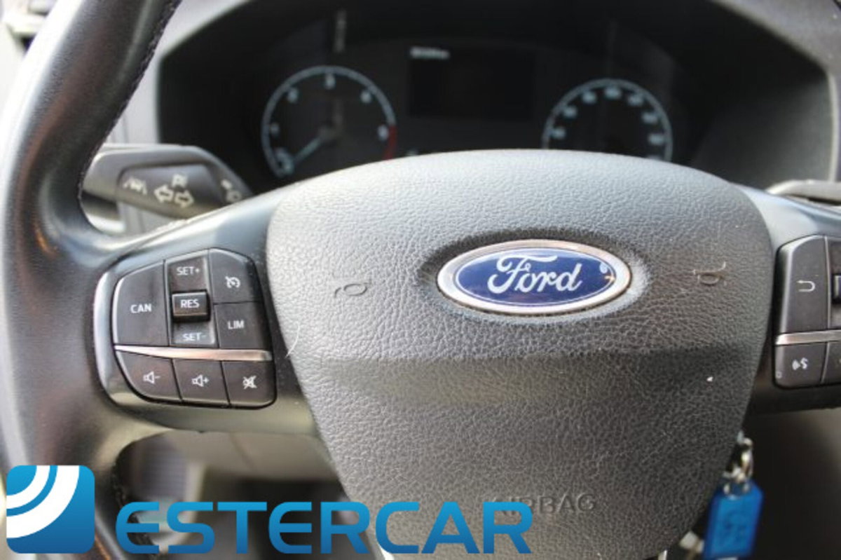 Ford Transit Furgone 350 2.0TDCi EcoBlue 130CV PL-TM Combi Trend N1 (18)
