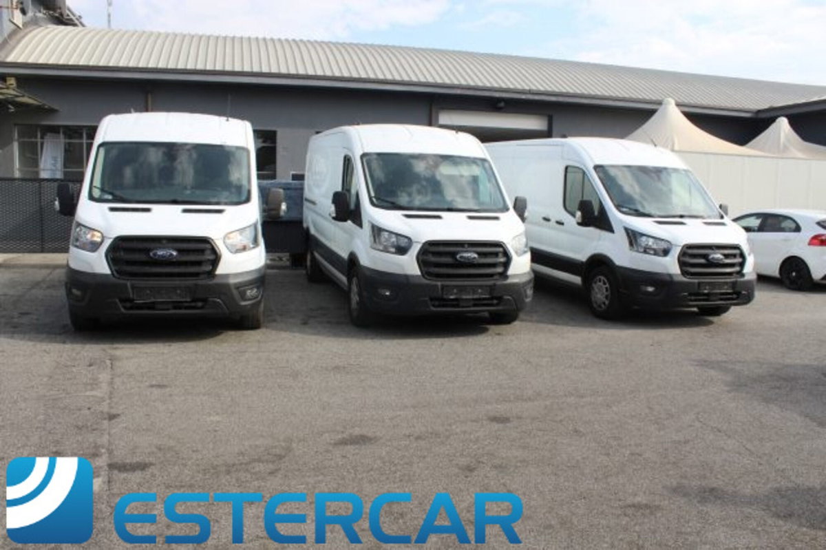 Ford Transit Furgone 350 2.0TDCi EcoBlue 130CV PL-TM Combi Trend N1 (7)