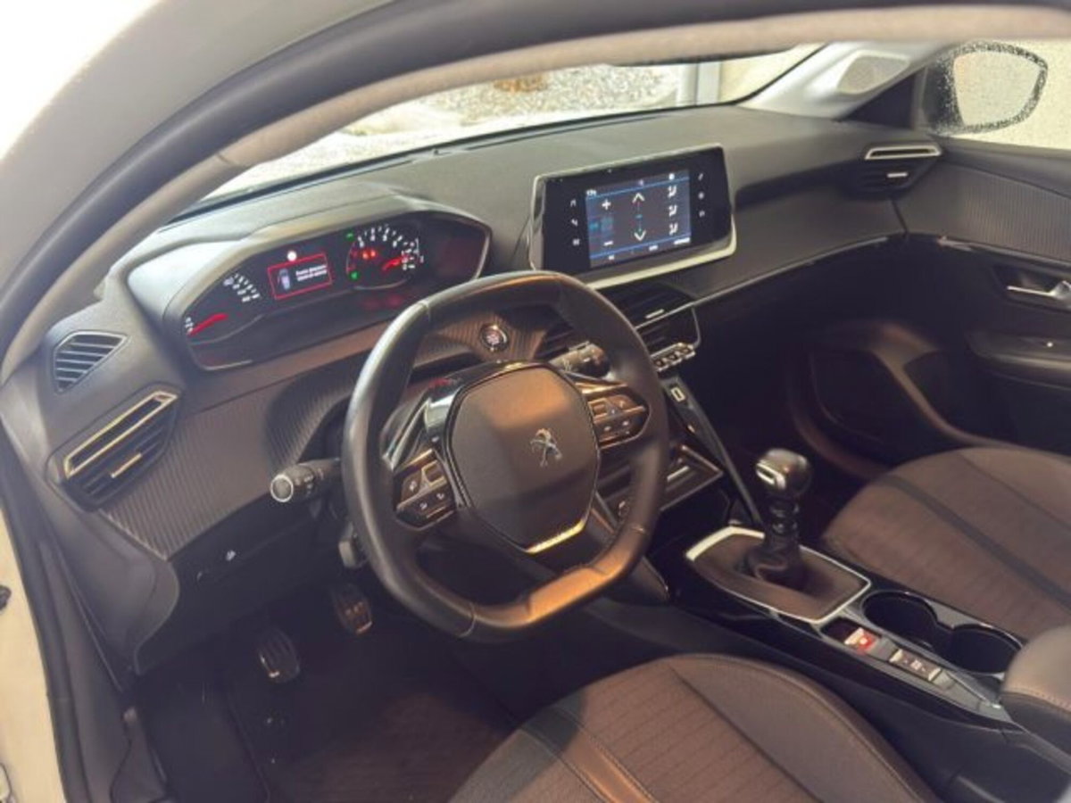 Peugeot 208 BlueHDi 100 Stop&Start 5 porte Allure (18)