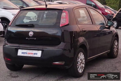 Fiat Punto 1.3 MJT II 75 CV 5 porte Lounge (4)