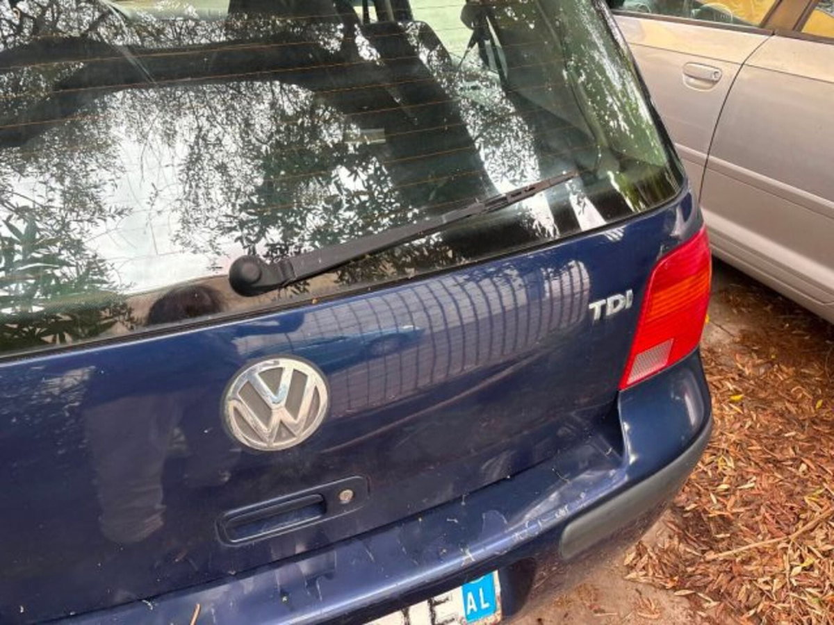Volkswagen Golf 1.9 TDI/101 CV cat 3p. Comfortline (4)