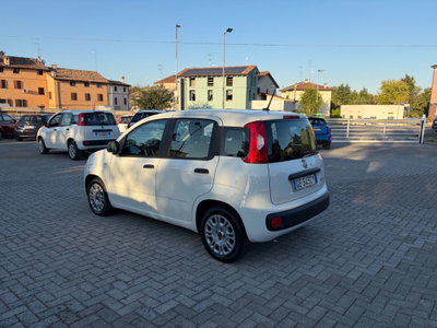 Fiat Panda Cross Cross 1.0 FireFly S&S Hybrid (3)