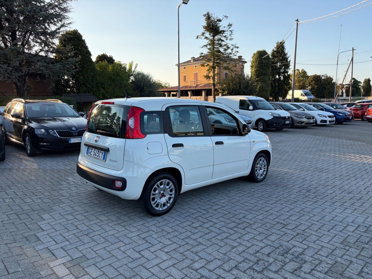 Fiat Panda Cross Cross 1.0 FireFly S&S Hybrid (4)