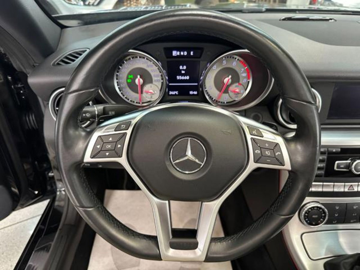 Mercedes-Benz SLK 200 BlueEFFICIENCY Sport (19)