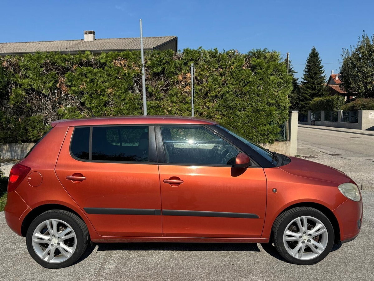 Skoda Fabia 1.4 TDI 80CV 5p. Comfort (7)
