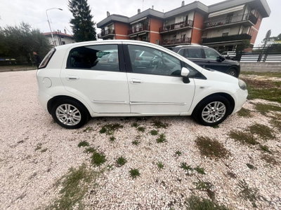 Fiat Punto 1.2 8V 5 porte Lounge (10)