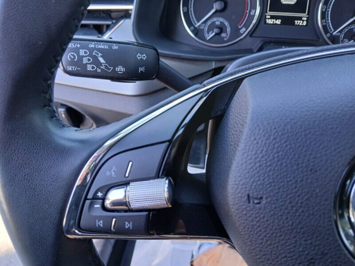 Skoda Kamiq 1.0 TSI 110 CV Dark Shade (11)