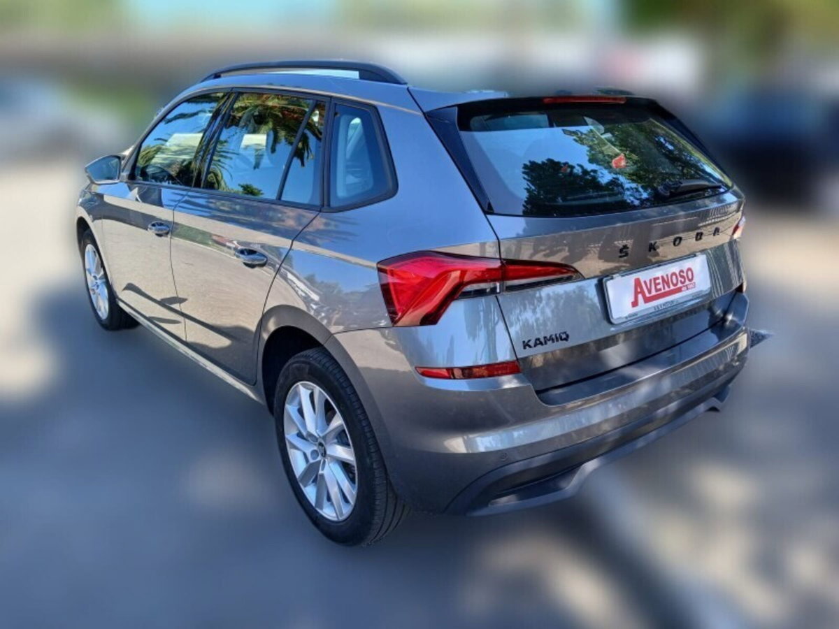 Skoda Kamiq 1.0 TSI 110 CV Dark Shade (3)