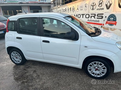 Fiat Panda 1.2 Easy (18)