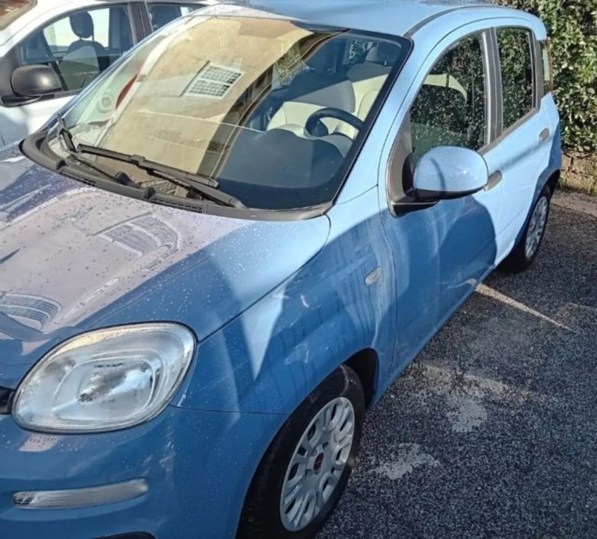 Fiat Panda 1.3 MJT 95 CV S&S Easy (3)