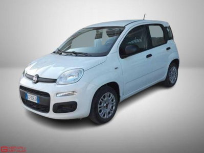Fiat Panda 1.2 EasyPower usata