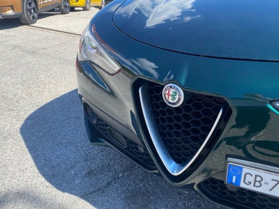 Alfa Romeo Stelvio Stelvio 2.2 Turbodiesel 210 CV AT8 Q4 Ti (13)