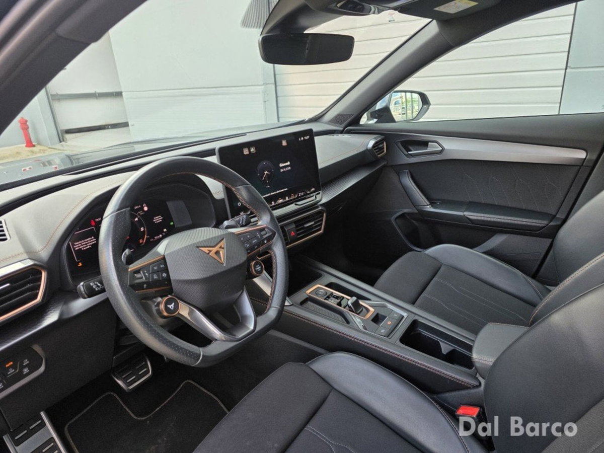 Cupra Formentor Formentor 2.0 tdi 4drive 150cv dsg (12)
