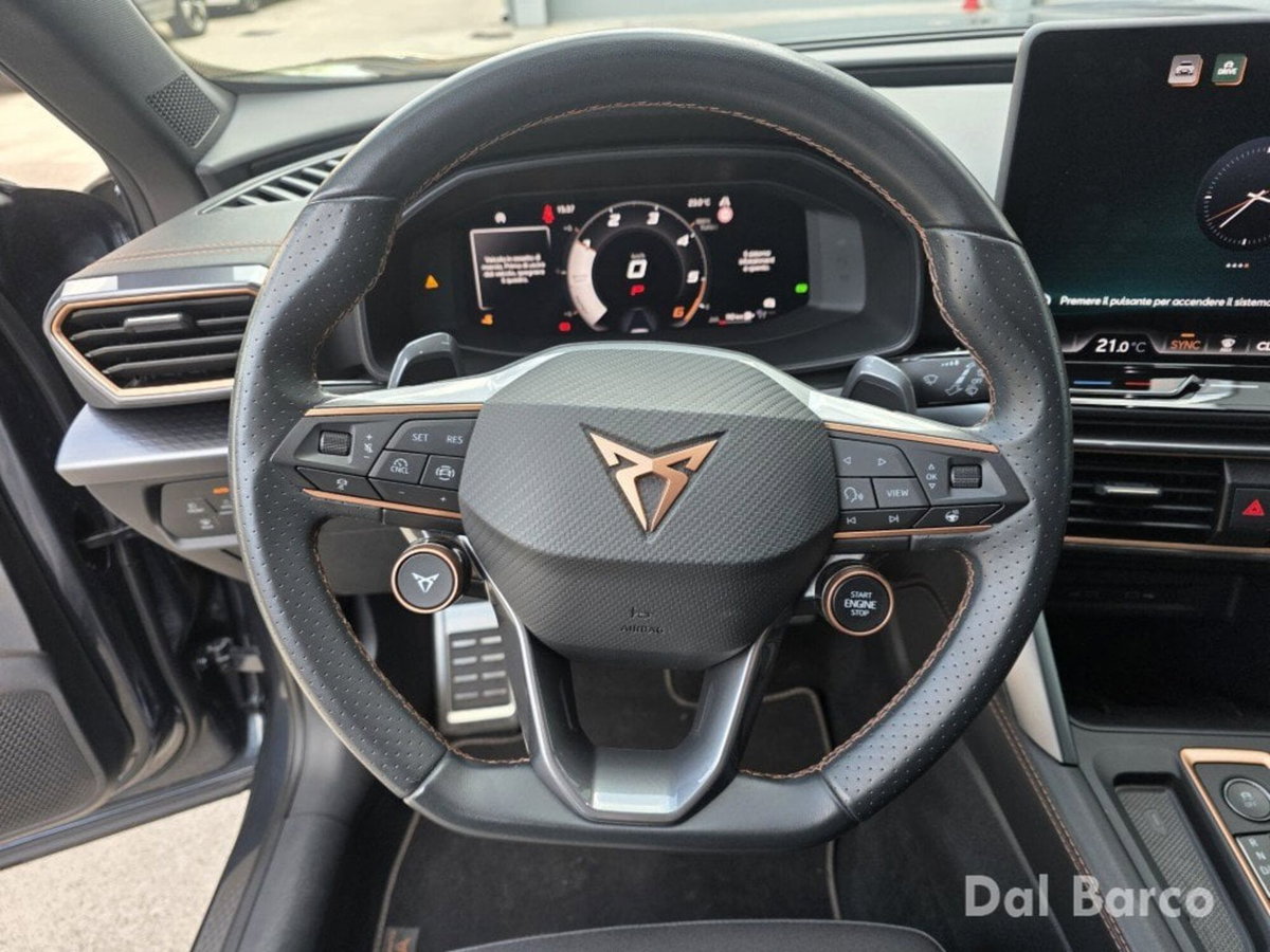 Cupra Formentor Formentor 2.0 tdi 4drive 150cv dsg (13)