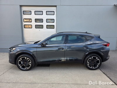 Cupra Formentor Formentor 2.0 tdi 4drive 150cv dsg (4)